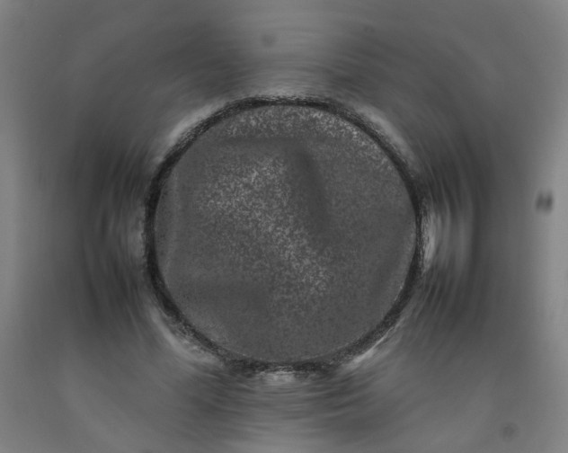 X0000092230588200709281106