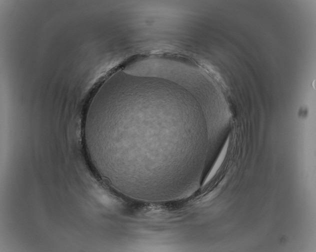 X0000092230589200709281106