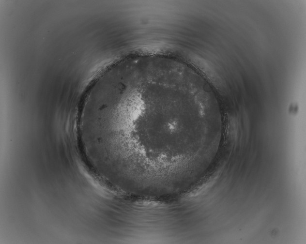 X0000092230590200709281106