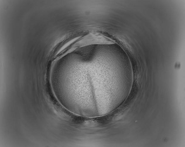 X0000092230591200709281106