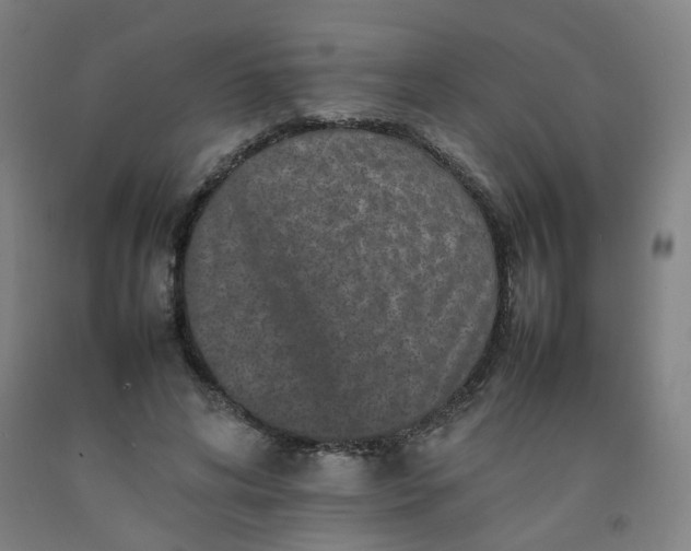 X0000092230592200709281106