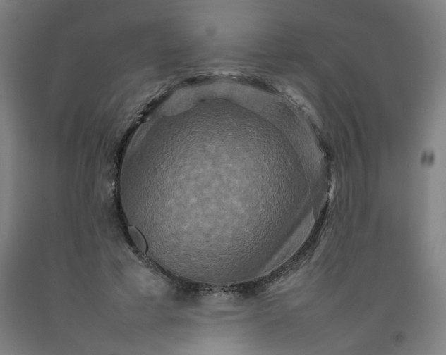 X0000092230593200709281106