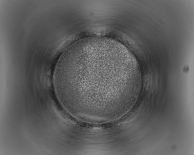 X0000092230594200709281106