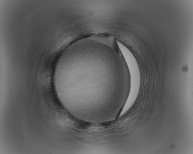 X0000092230595200709281106