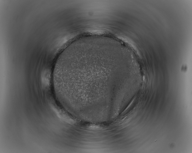 X0000092230596200709281106