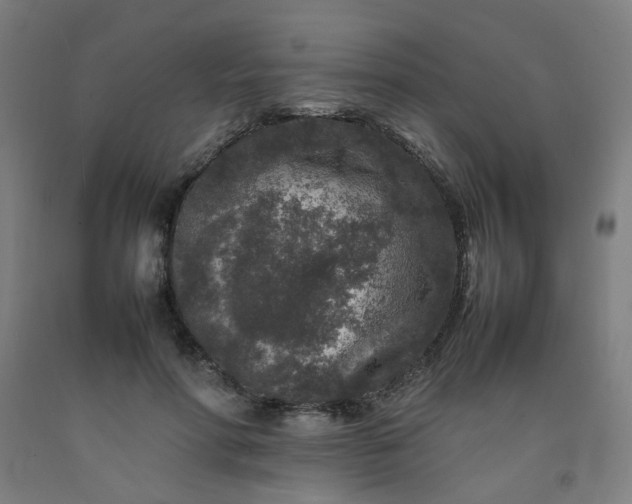 X0000092230598200709281106