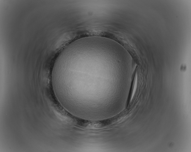 X0000092230599200709281106