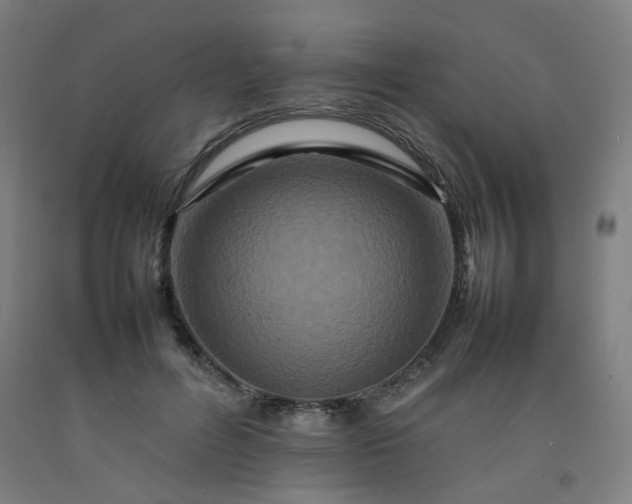 X0000092230600200709281106