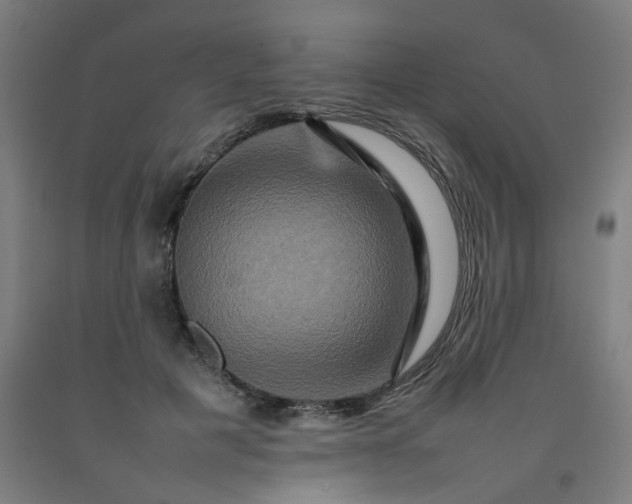 X0000092230601200709281106