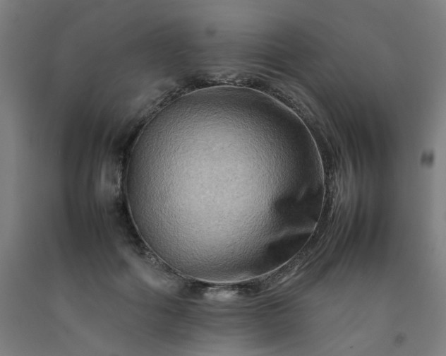 X0000092230602200709281106