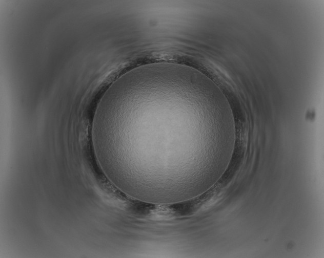 X0000092230603200709281106