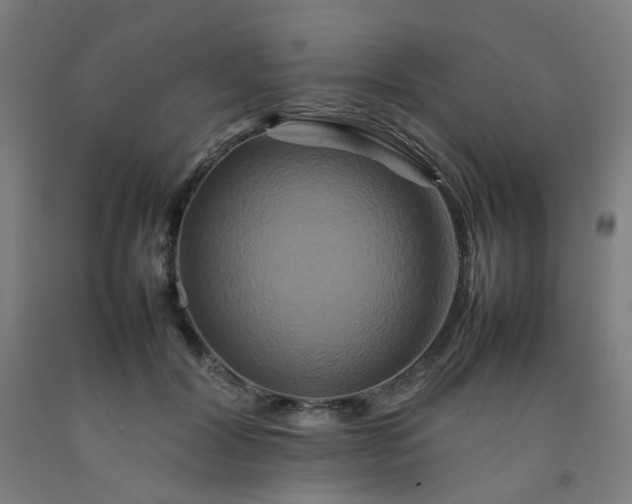 X0000092230604200709281106