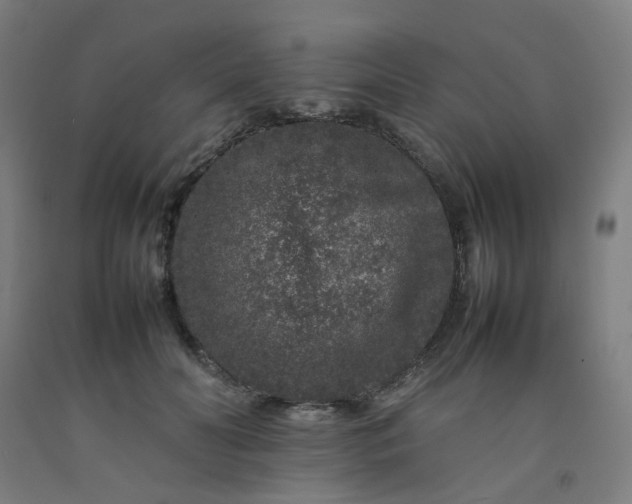 X0000092230606200709281106