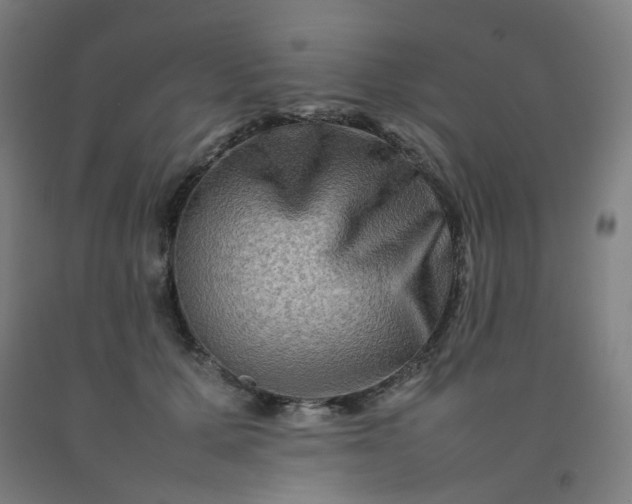 X0000092230607200709281106