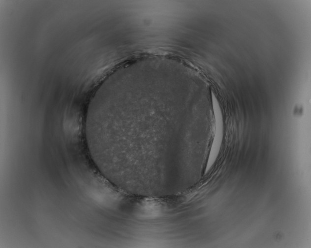 X0000092230608200709281105