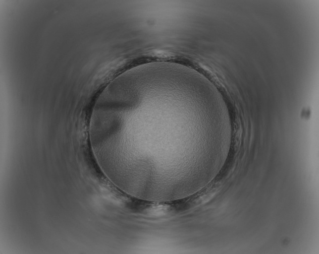 X0000092230609200709281105