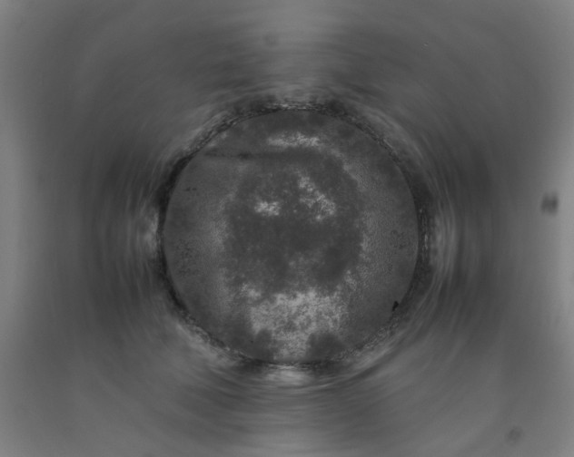 X0000092230610200709281105