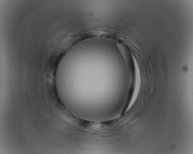 X0000092230611200709281105