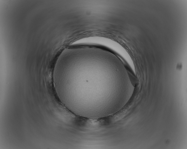 X0000092230613200709281105