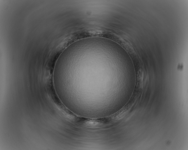 X0000092230614200709281105