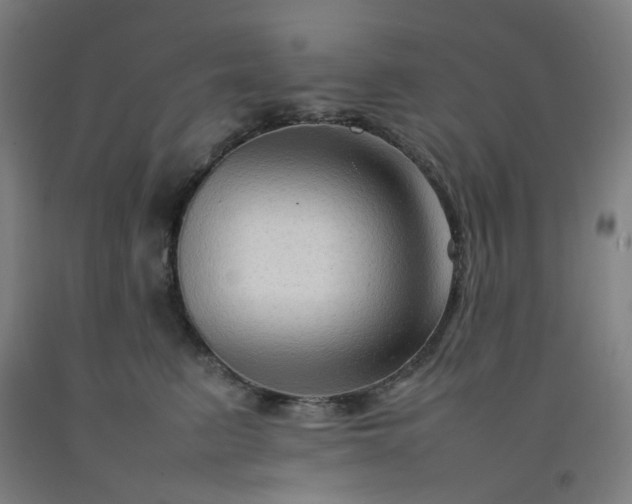 X0000092230615200709281105