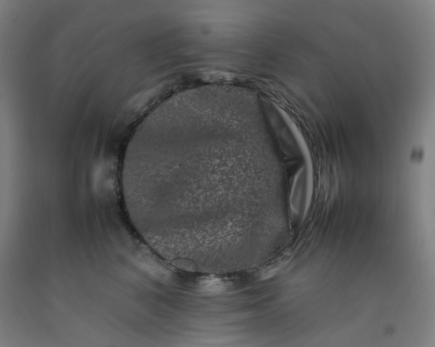 X0000092230616200709281105