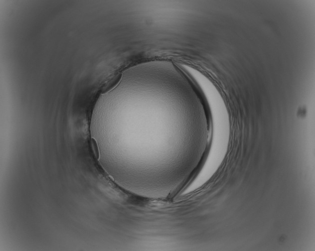 X0000092230617200709281105