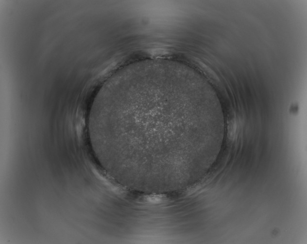 X0000092230618200709281105