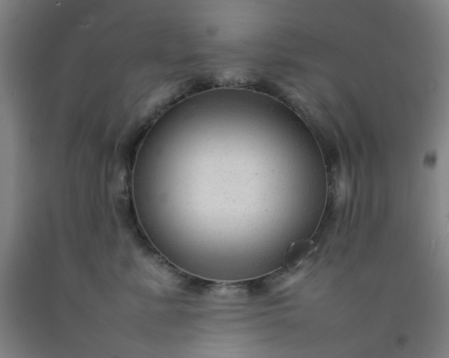 X0000092230619200709281105