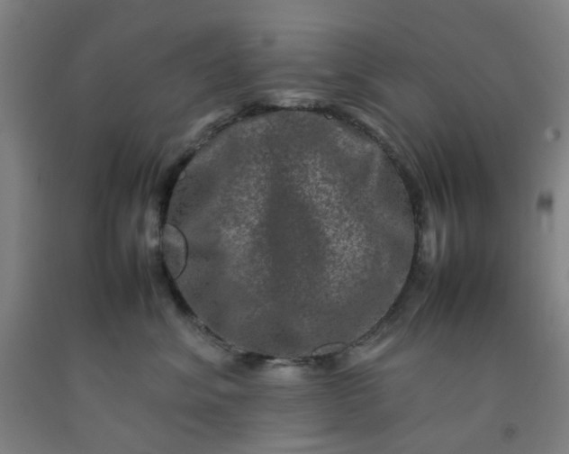 X0000092230620200709281105