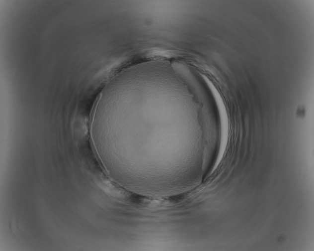 X0000092230621200709281105