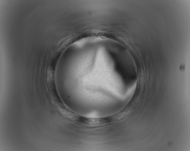 X0000092230623200709281105