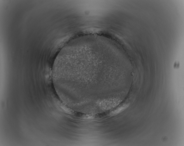 X0000092230624200709281105