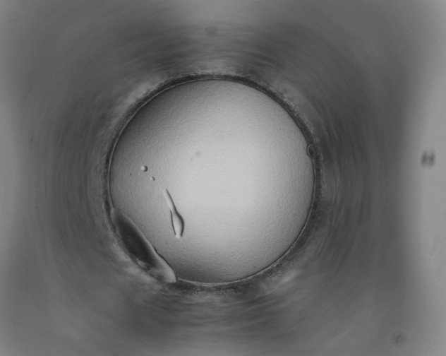 X0000092230625200709281105