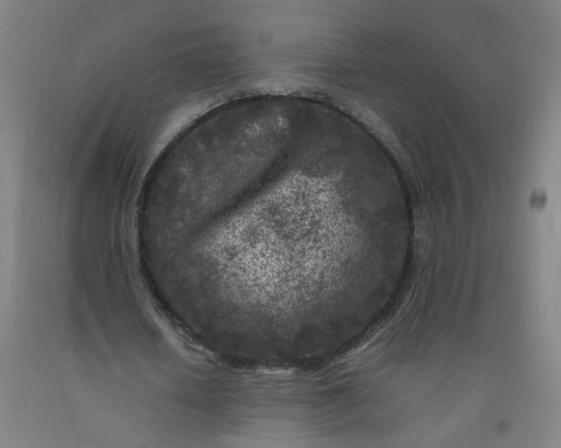 X0000092230626200709281105