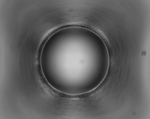 X0000092230628200709281105