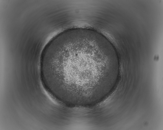 X0000092230630200709281105