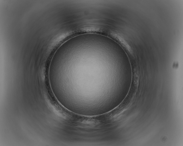 X0000092230631200709281105