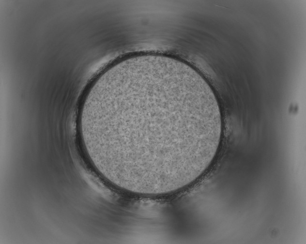 X0000092230632200709281105