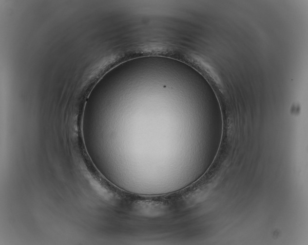 X0000092230633200709281105