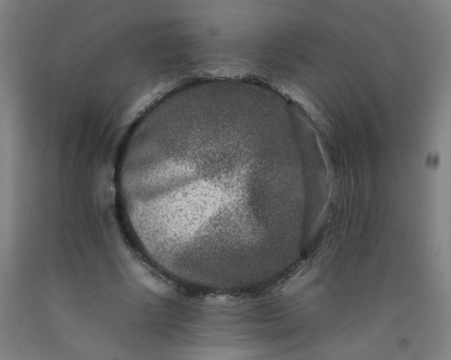 X0000092230634200709281105