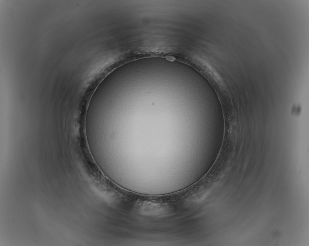 X0000092230635200709281105