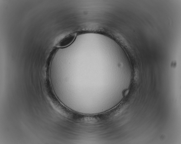 X0000092230636200709281105