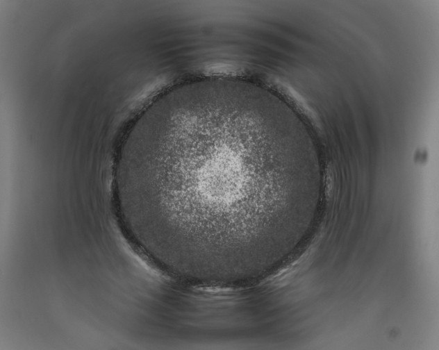 X0000092230637200709281105