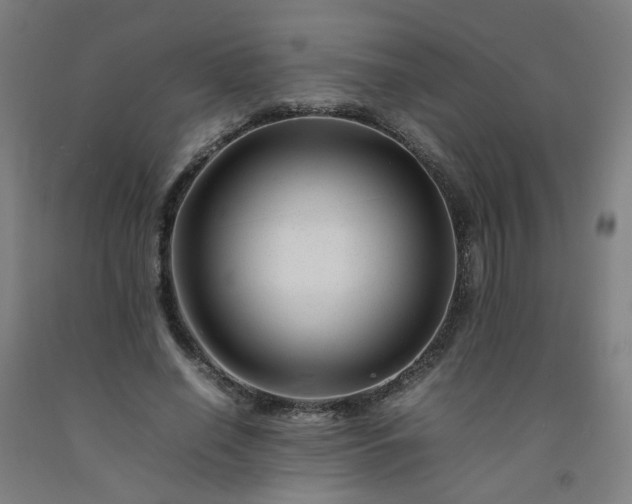 X0000092230638200709281105