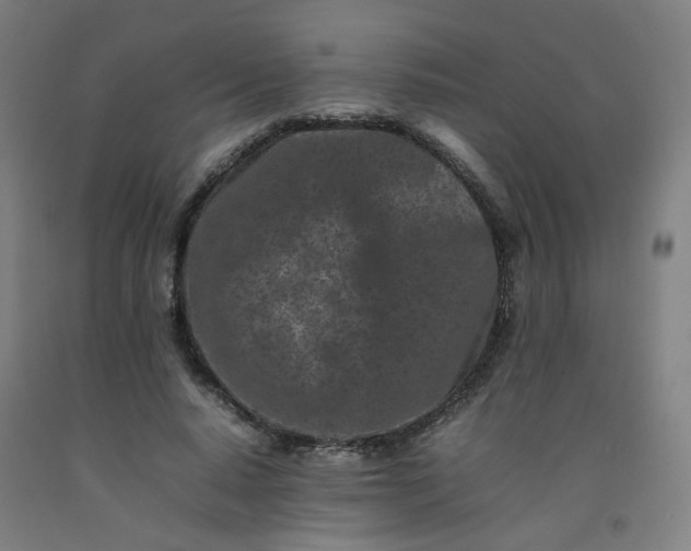 X0000092230640200709281105