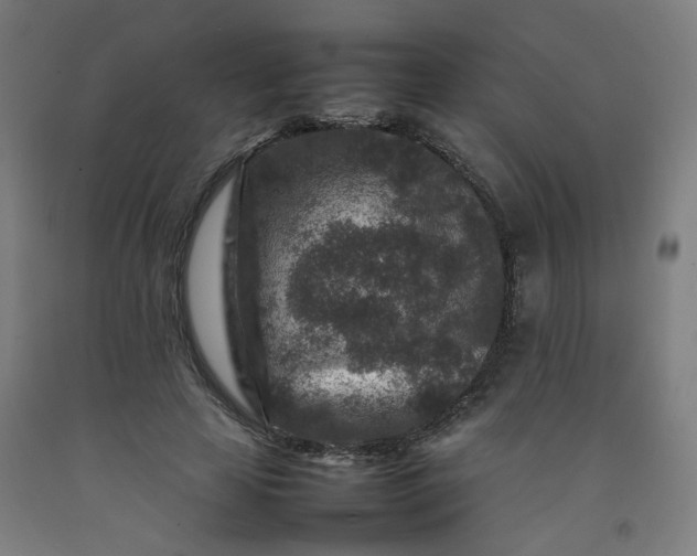 X0000092230641200709281105