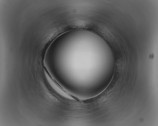 X0000092230642200709281105