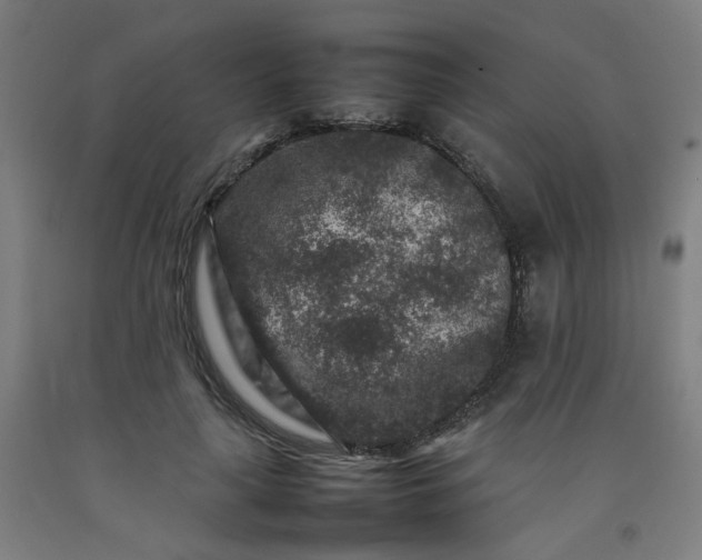 X0000092230643200709281105