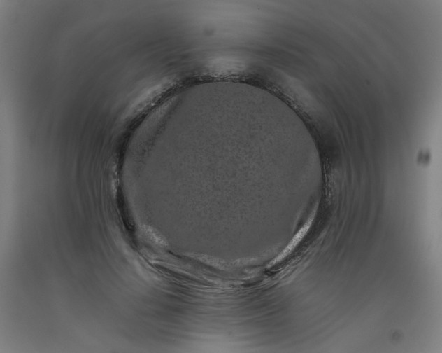 X0000092230644200709281105